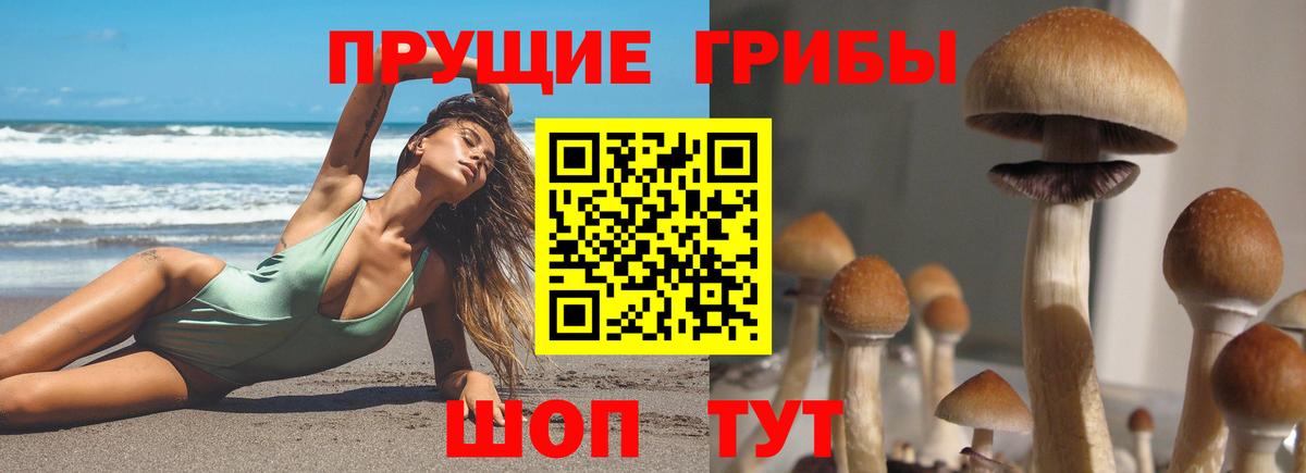 Артёмовский  наркота  Вход с VPN  Галлюциногенные грибы MAGIC MUSHROOMS 